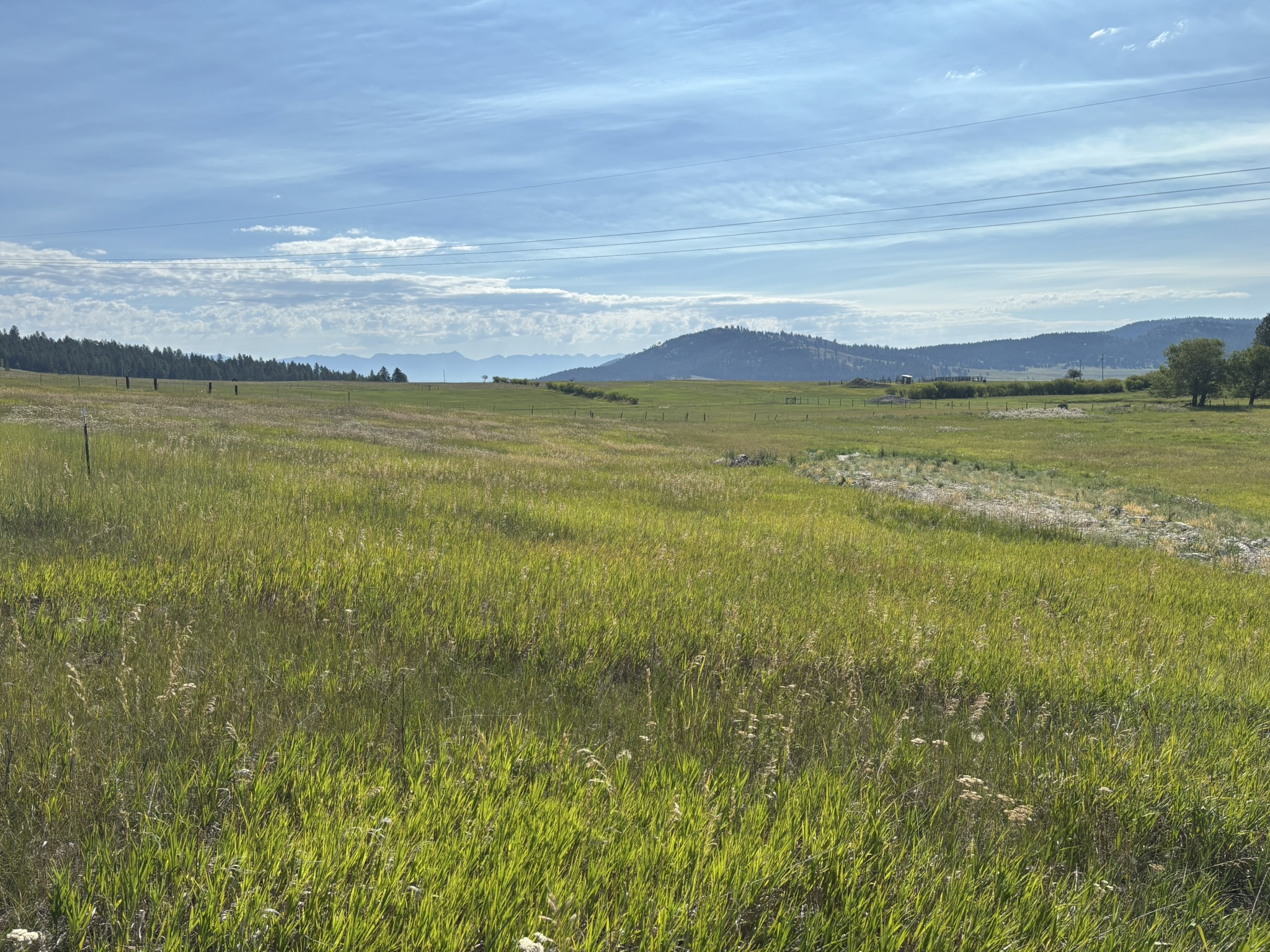 699 Morning View Drive Property Photo 1