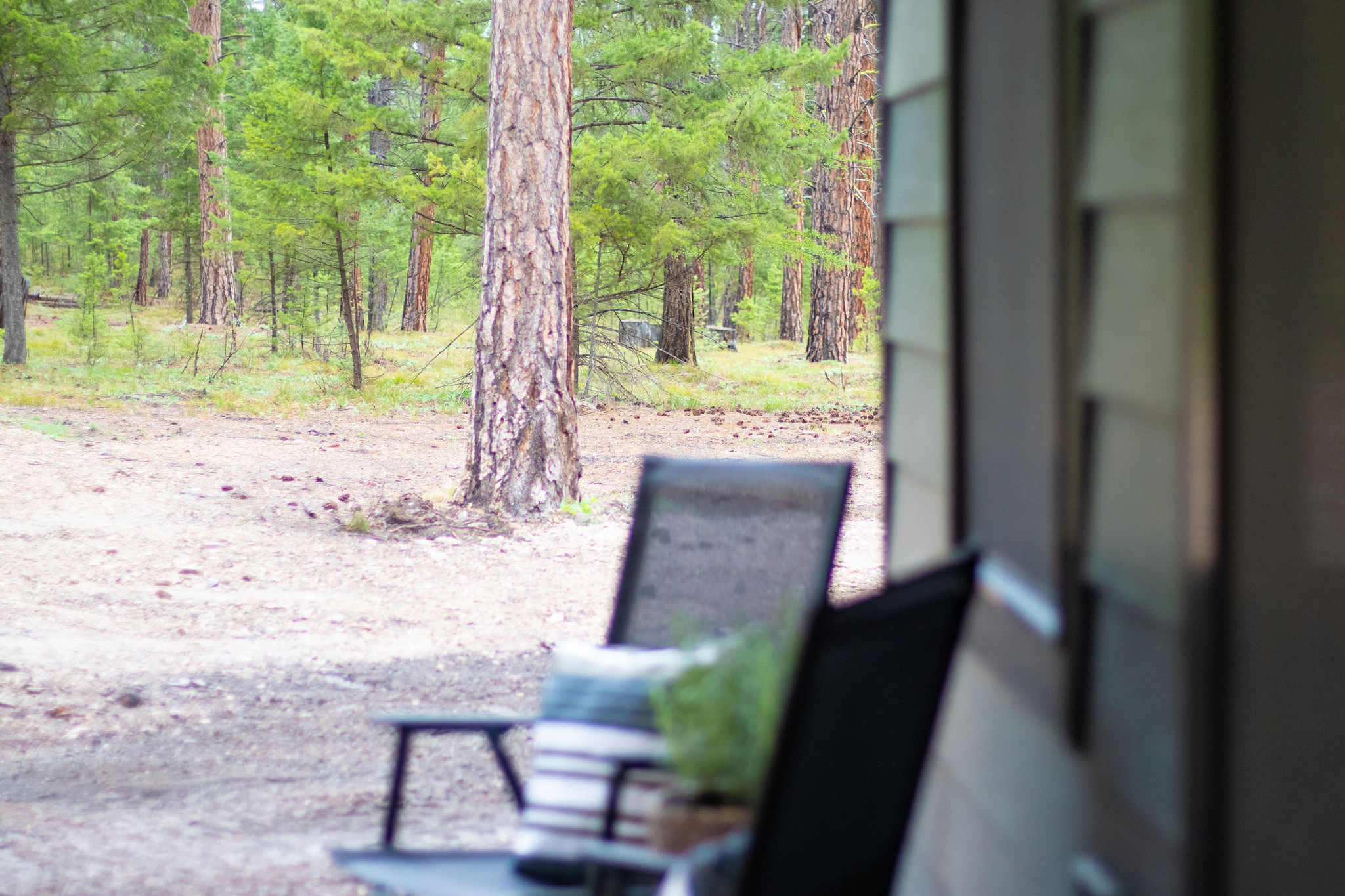 3219 Bear Creek Road Property Photo 90