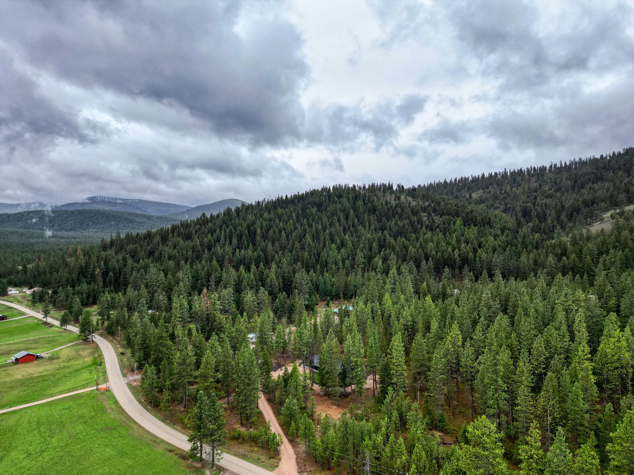 3219 Bear Creek Road Property Photo 101