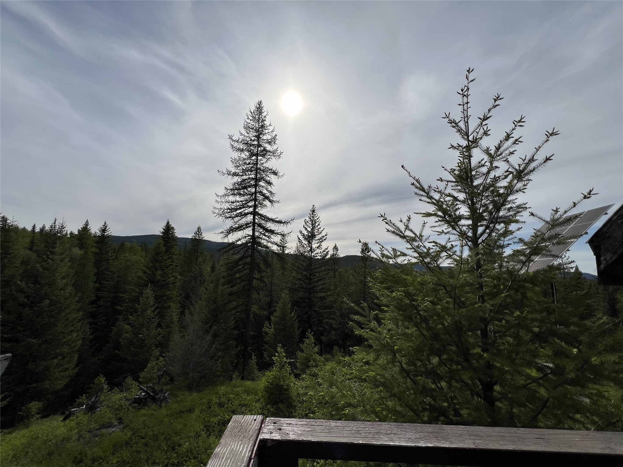 347 Soaring Eagle Trail Property Photo 17