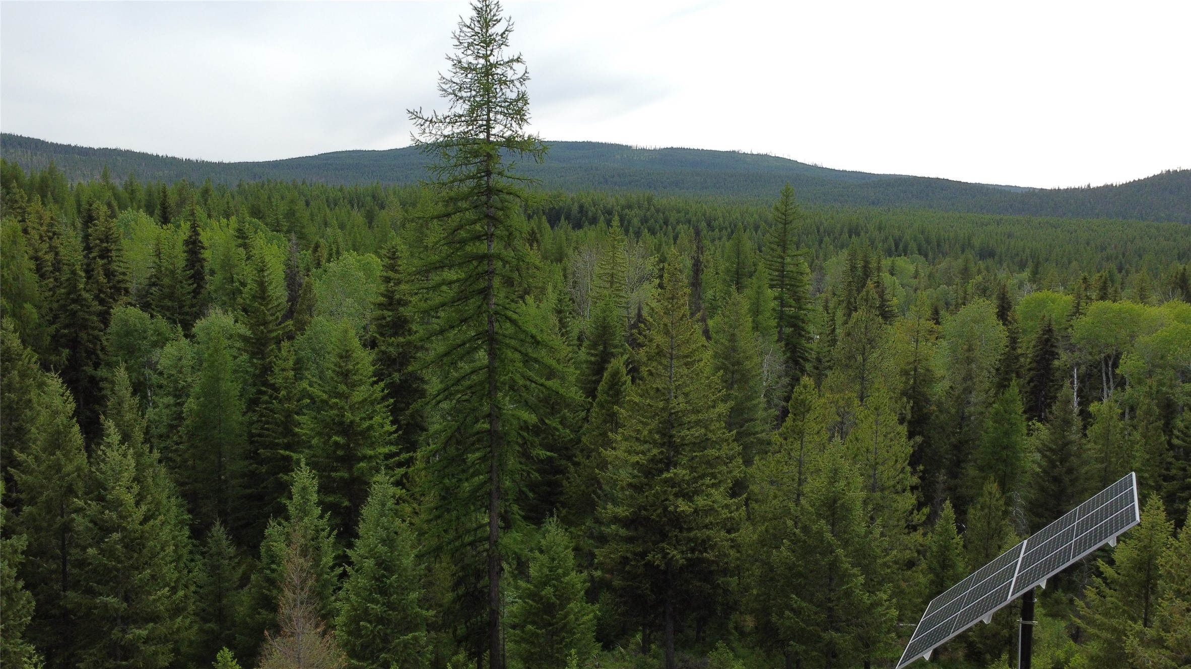 347 Soaring Eagle Trail Property Photo 69