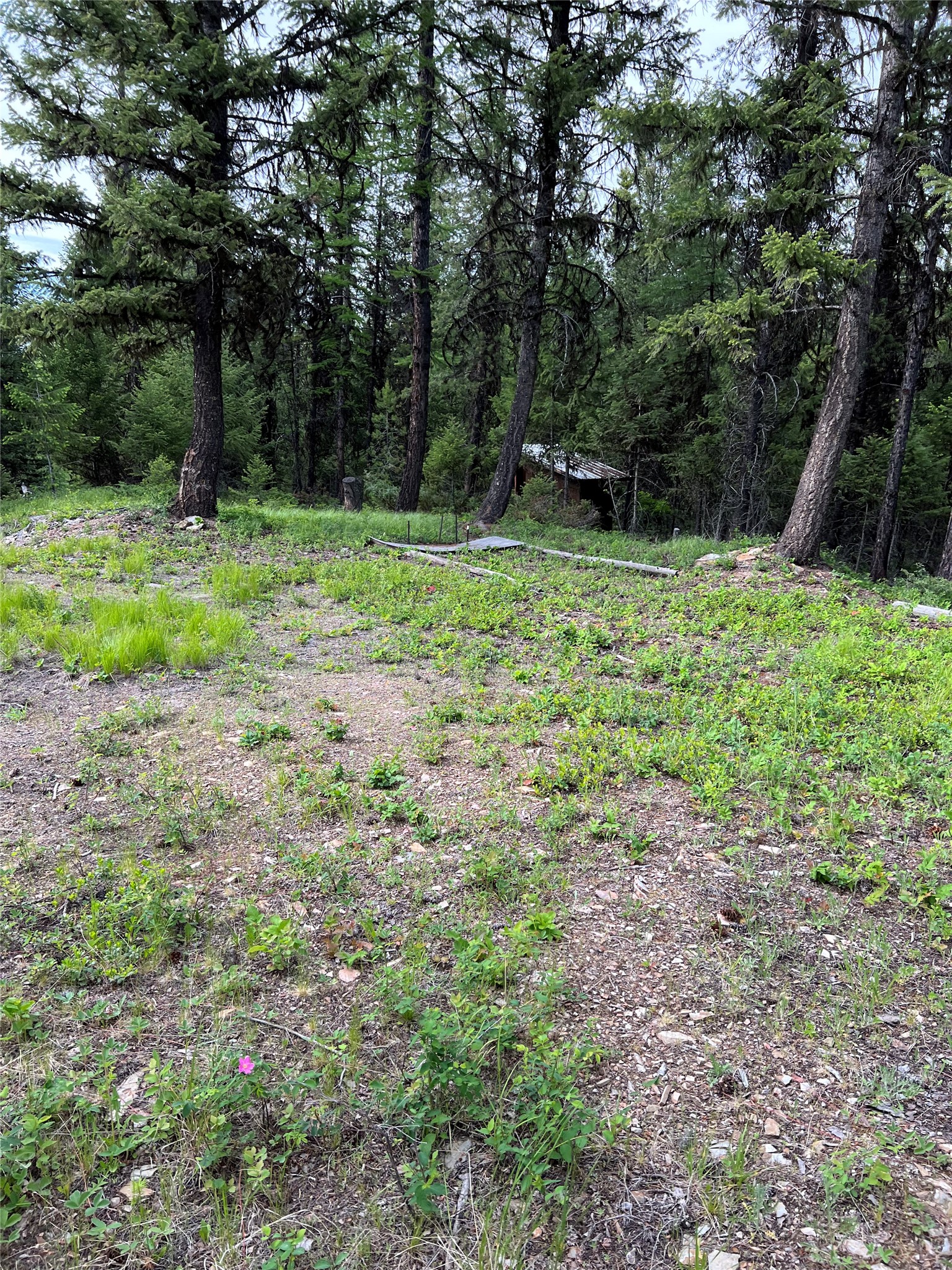 347 Soaring Eagle Trail Property Photo 74