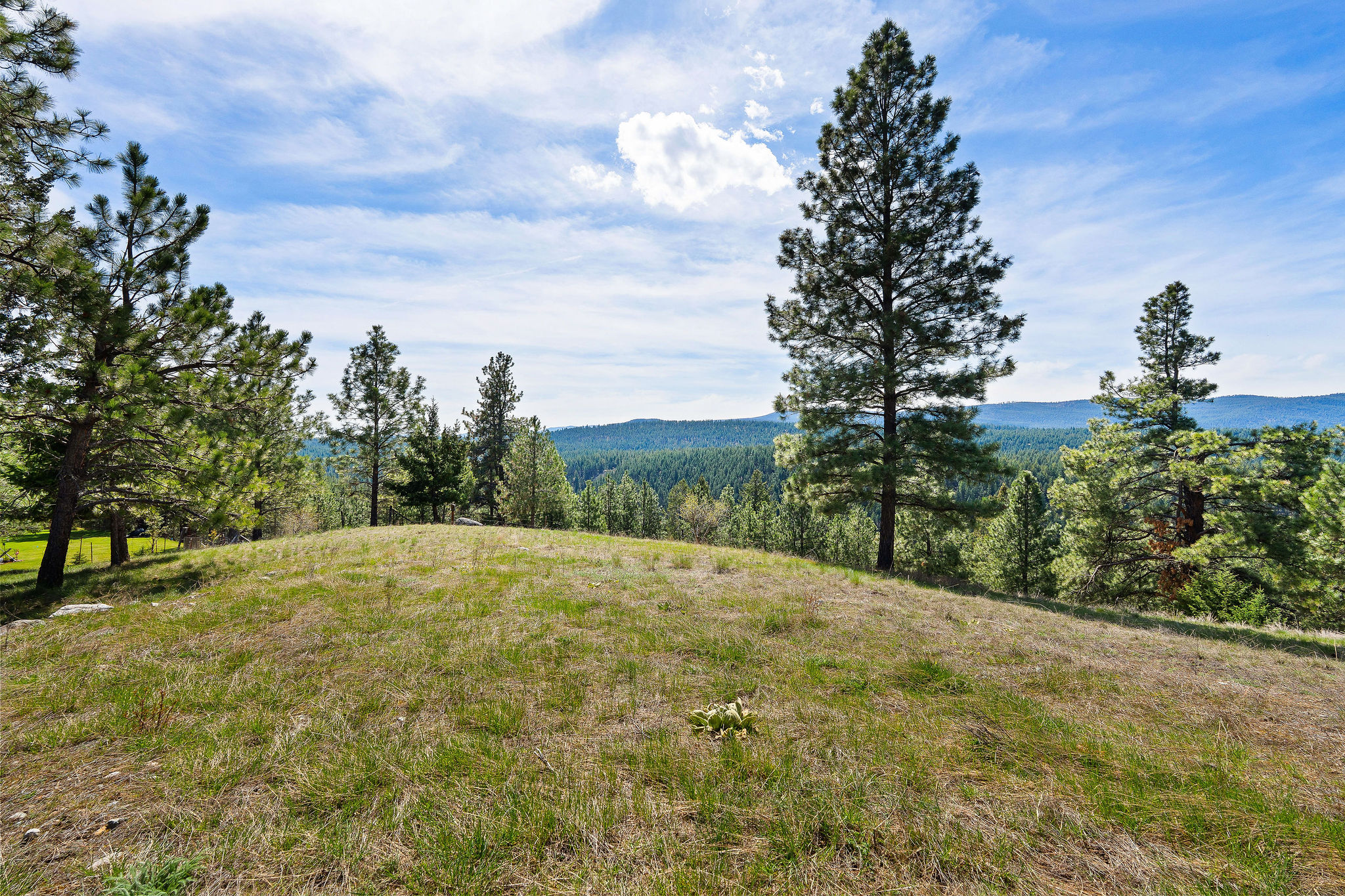 272 Summit Trail Property Photo 40