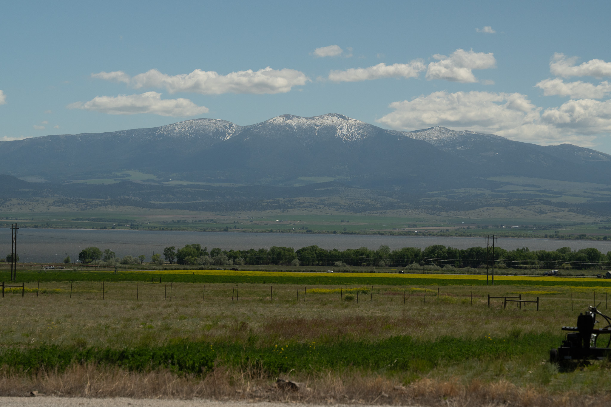 51 Whitehorse Road Property Photo 46