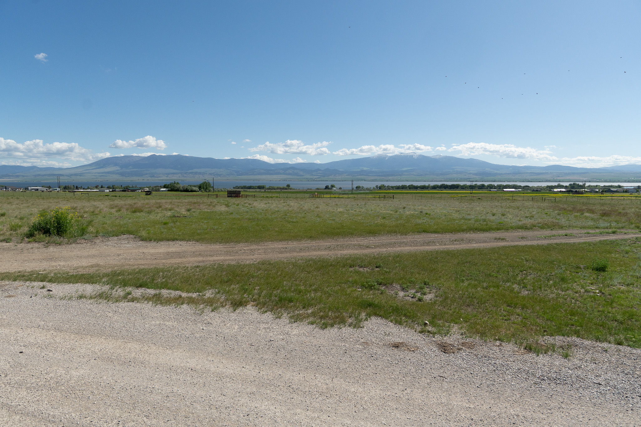 51 Whitehorse Road Property Photo 49