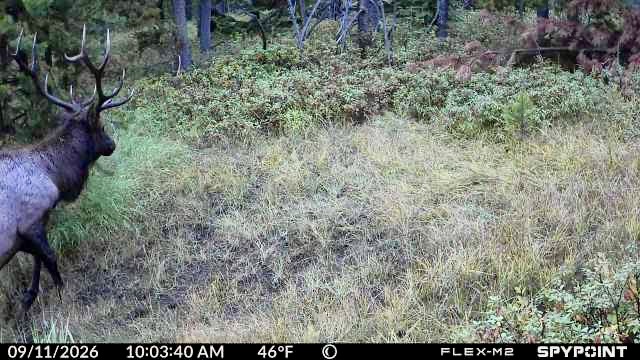 357 Ontario Drive Property Photo 1