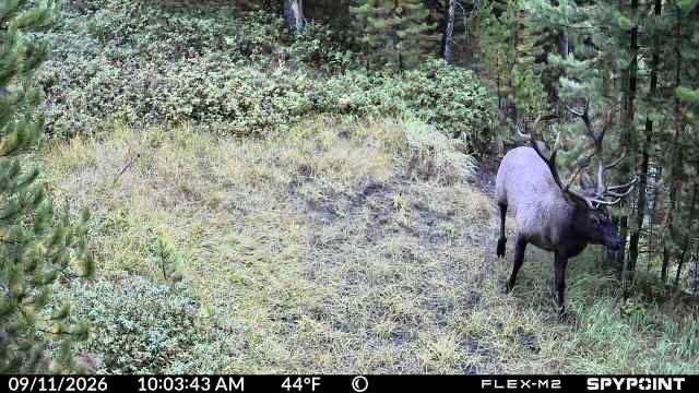 357 Ontario Drive Property Photo 54