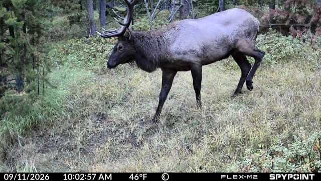357 Ontario Drive Property Photo 55