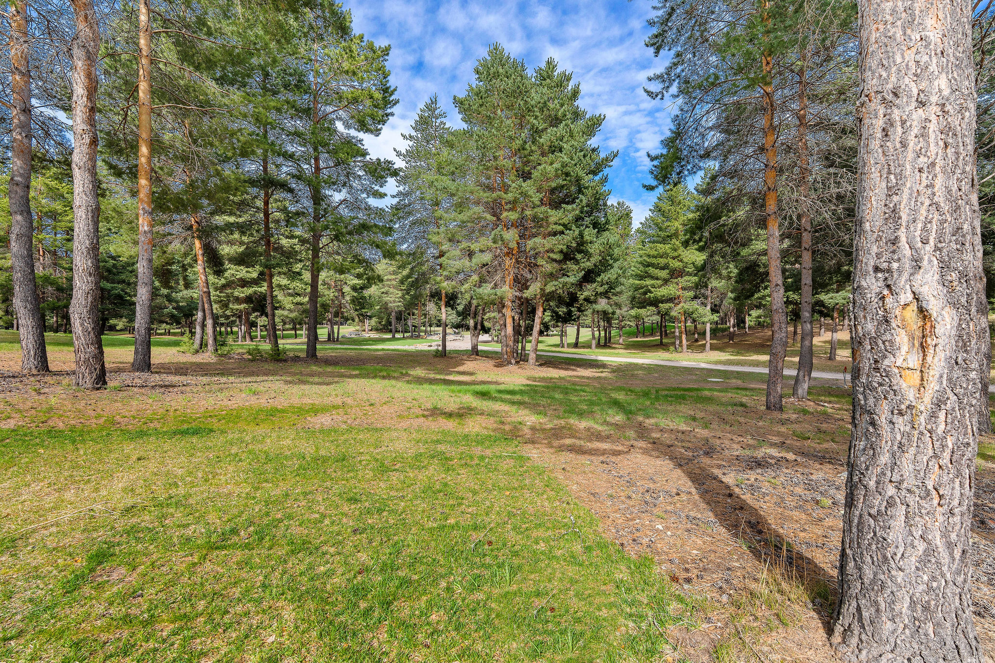 310 Rocky Woods Lane Property Photo 142