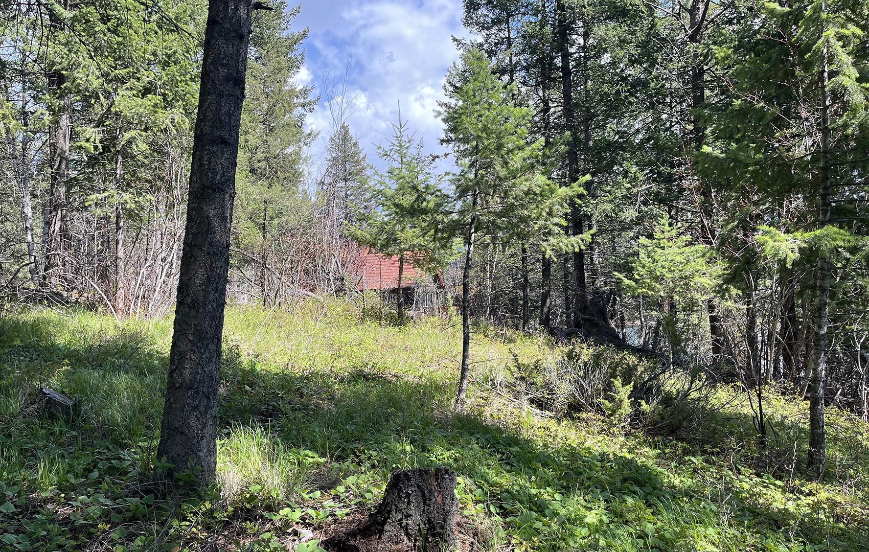 716 Echo Lake Road Property Photo 8