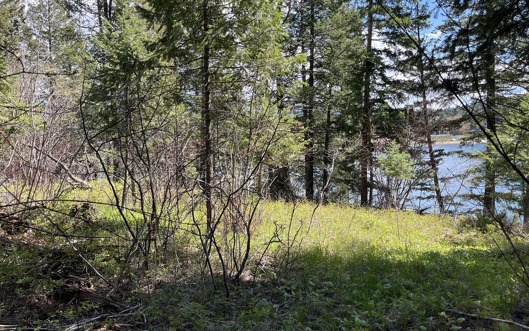 716 Echo Lake Road Property Photo 11