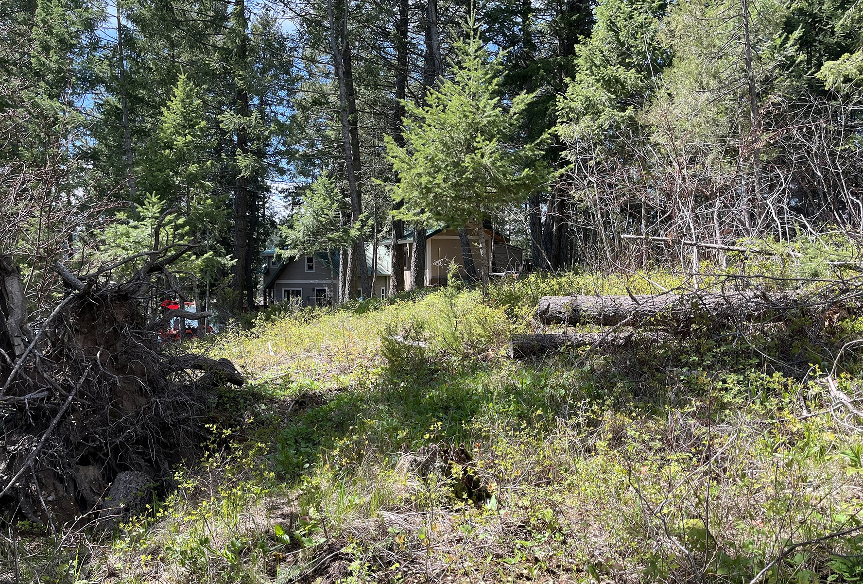 716 Echo Lake Road Property Photo 13
