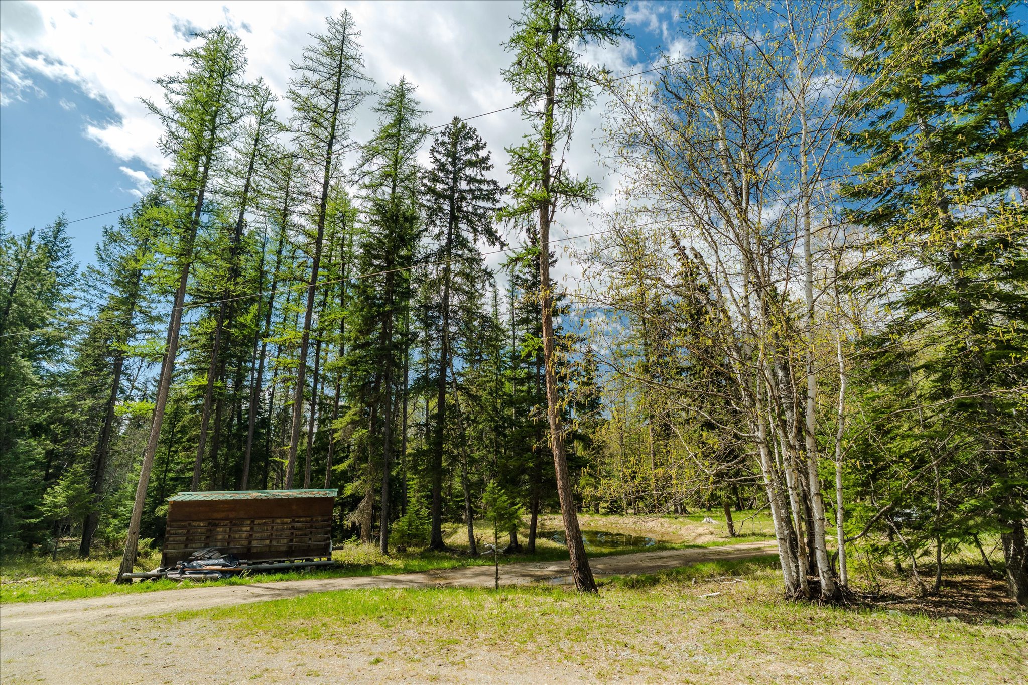 313 Griffith Creek Road Property Photo 18
