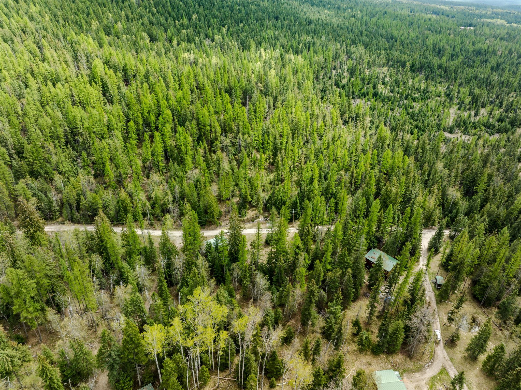 313 Griffith Creek Road Property Photo 49
