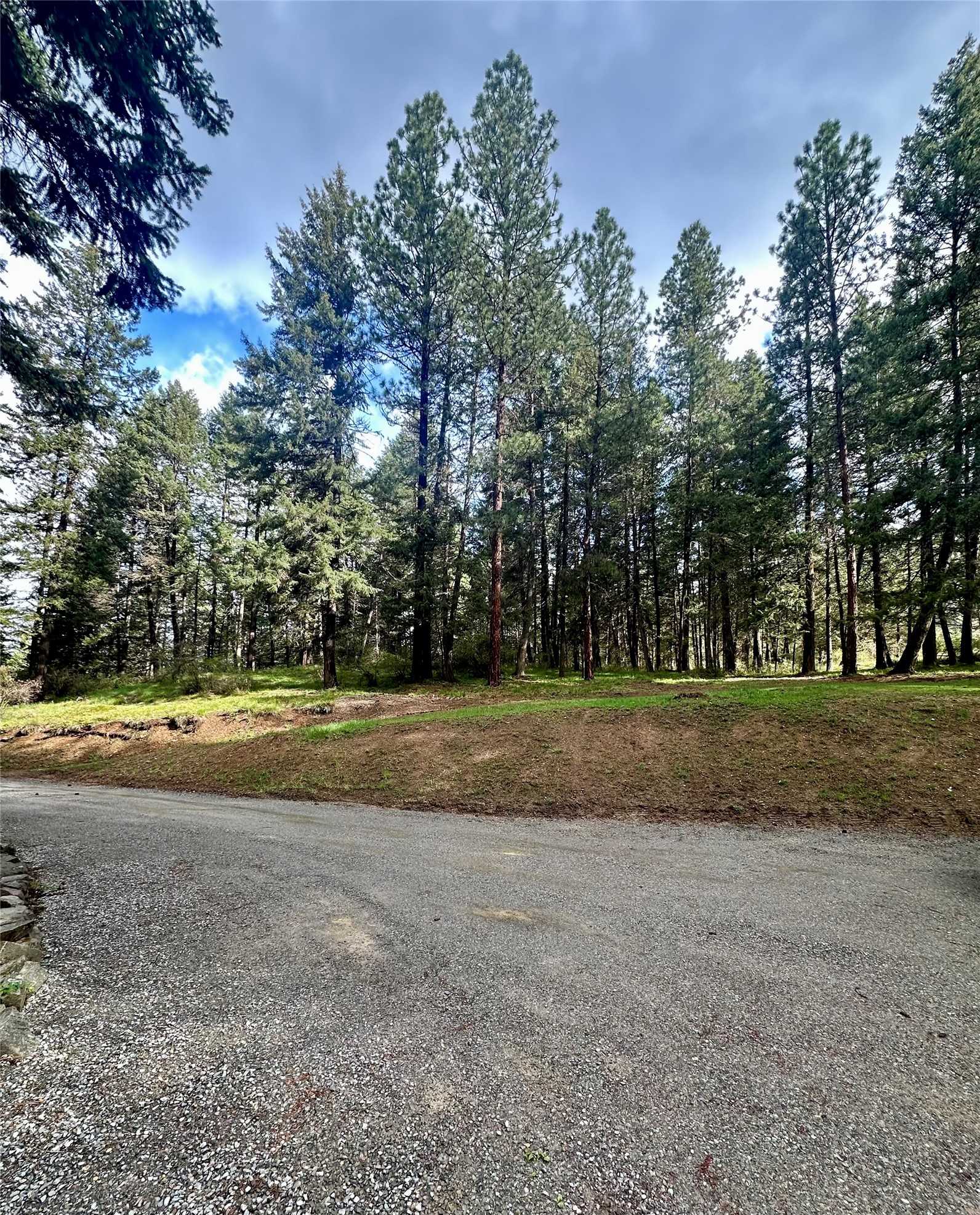 1519 Blue Slide Road Property Photo 15