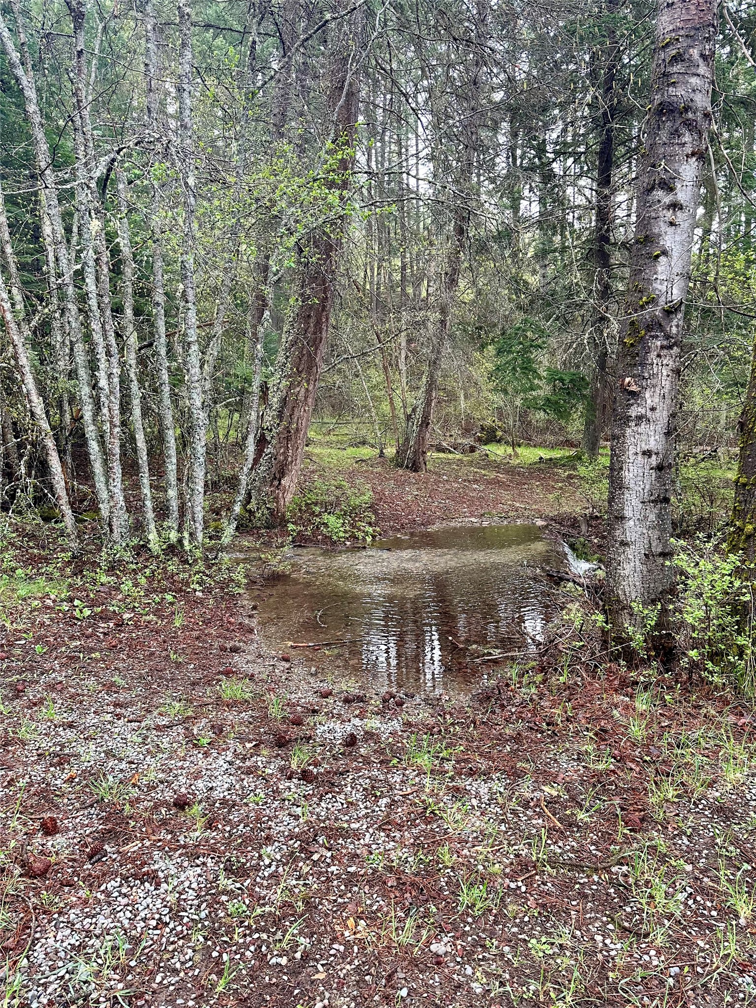 1519 Blue Slide Road Property Photo 31