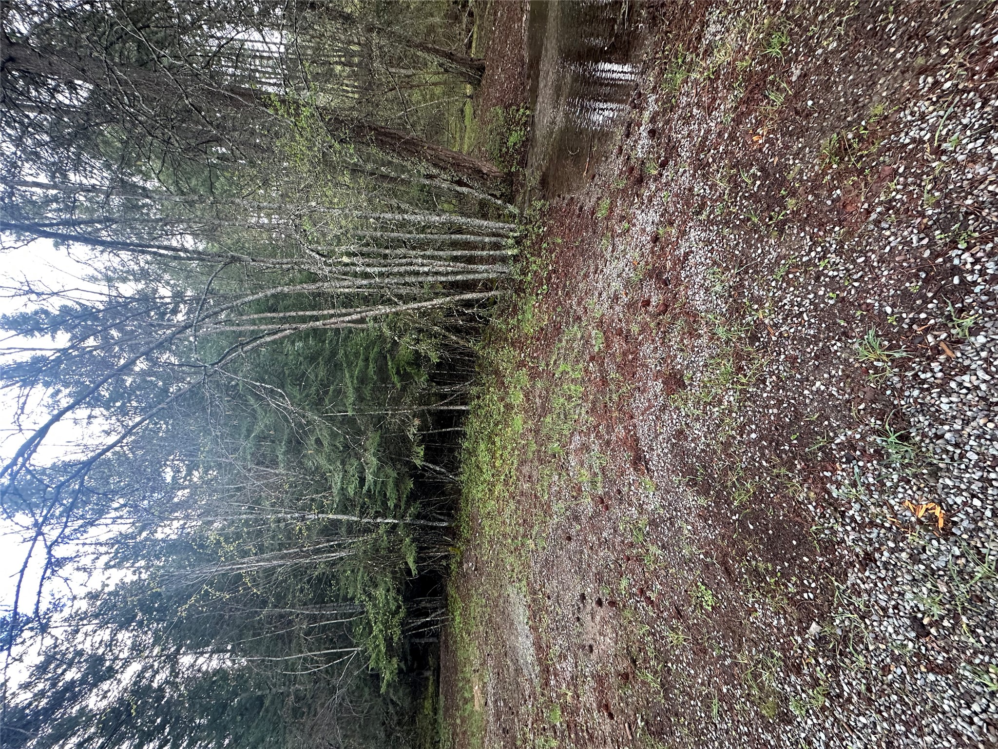 1519 Blue Slide Road Property Photo 32