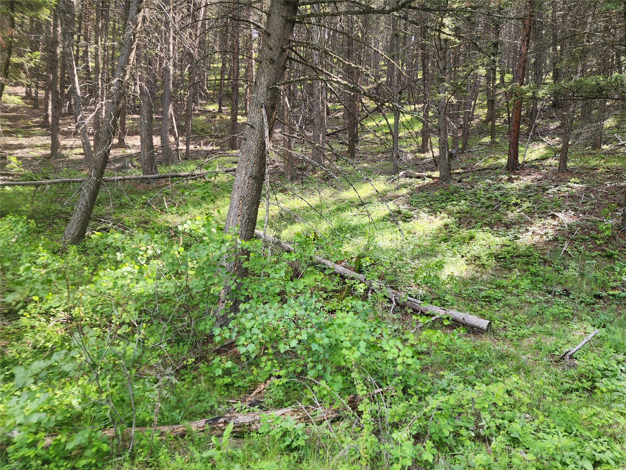 37 Outer Loop Road Property Photo 8