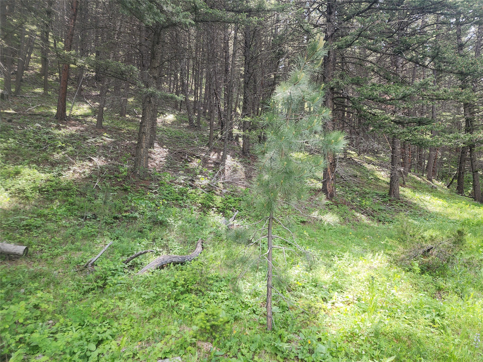 37 Outer Loop Road Property Photo 9