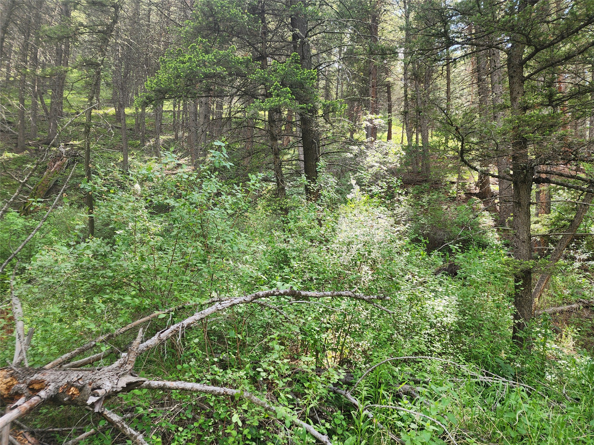 37 Outer Loop Road Property Photo 10