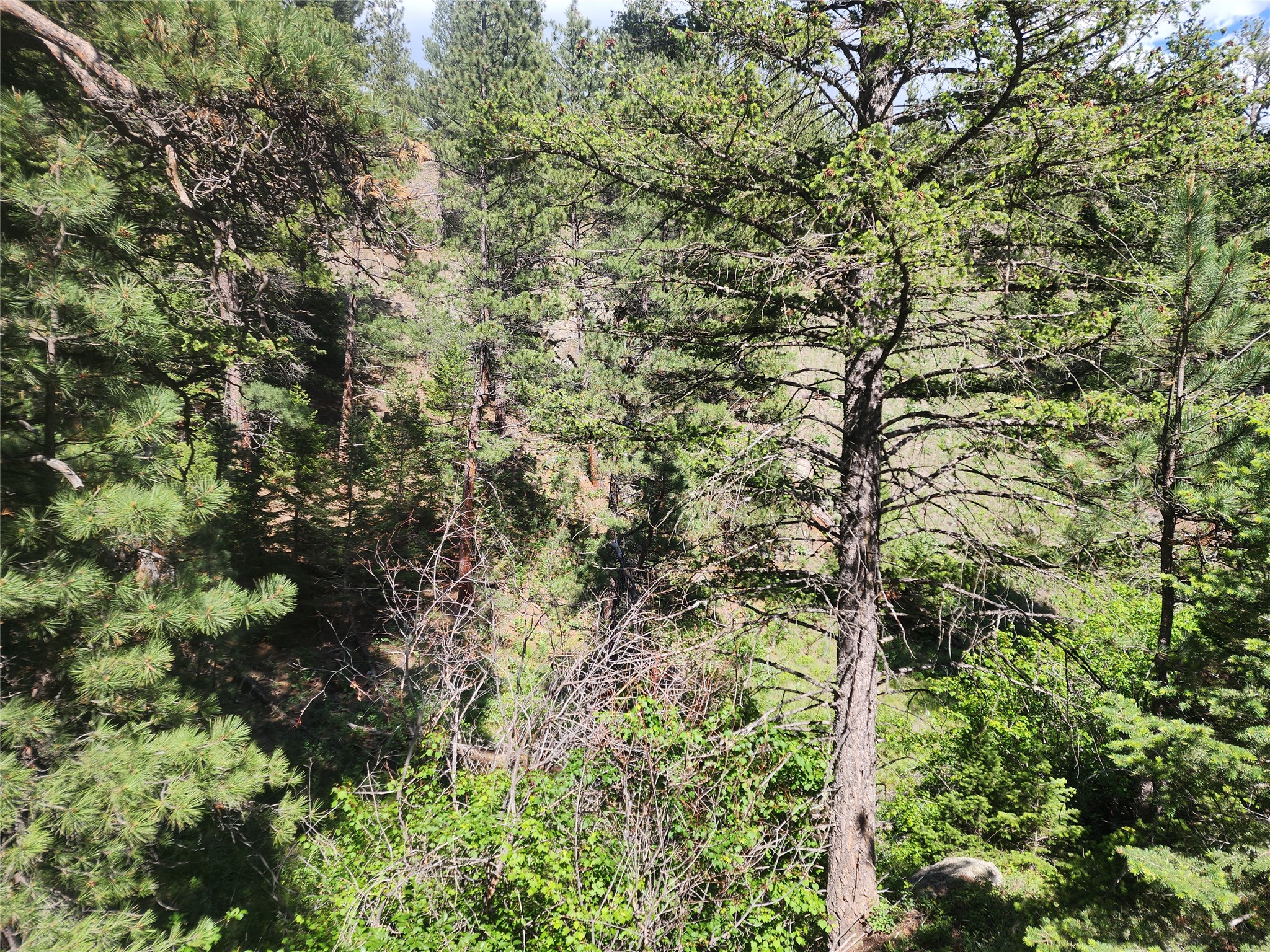 37 Outer Loop Road Property Photo 12