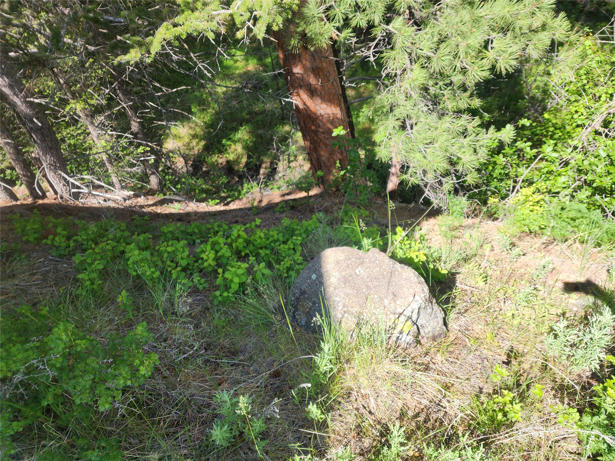 37 Outer Loop Road Property Photo 15