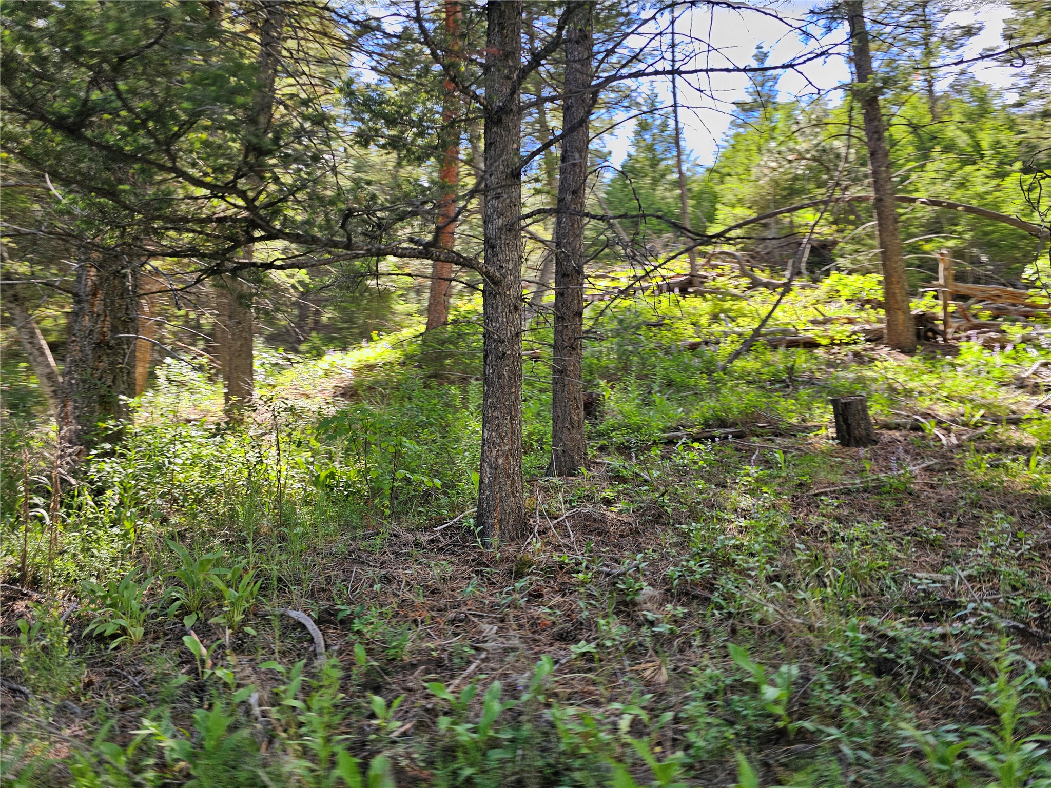 37 Outer Loop Road Property Photo 17
