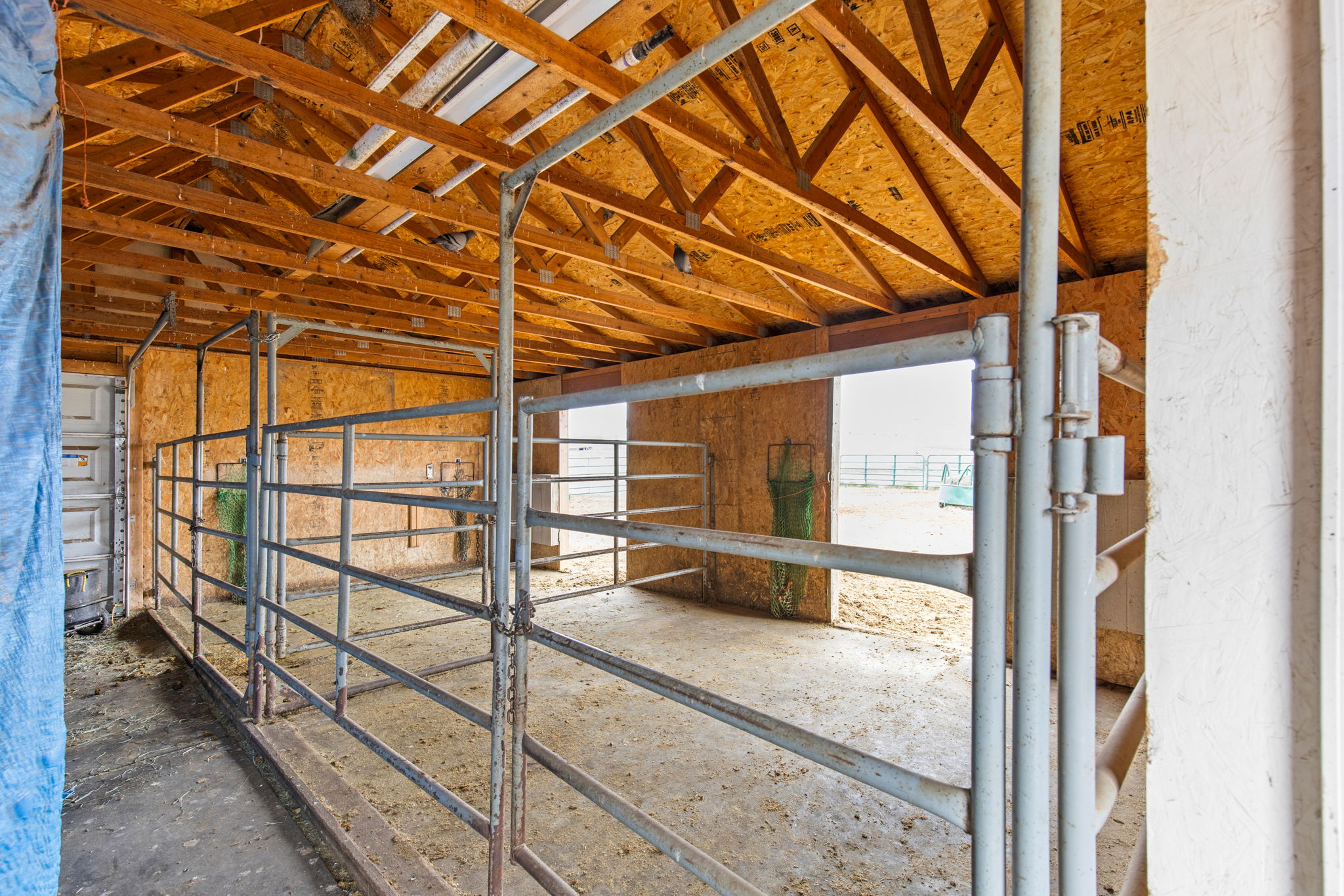 47 Caragana Drive Property Photo 48
