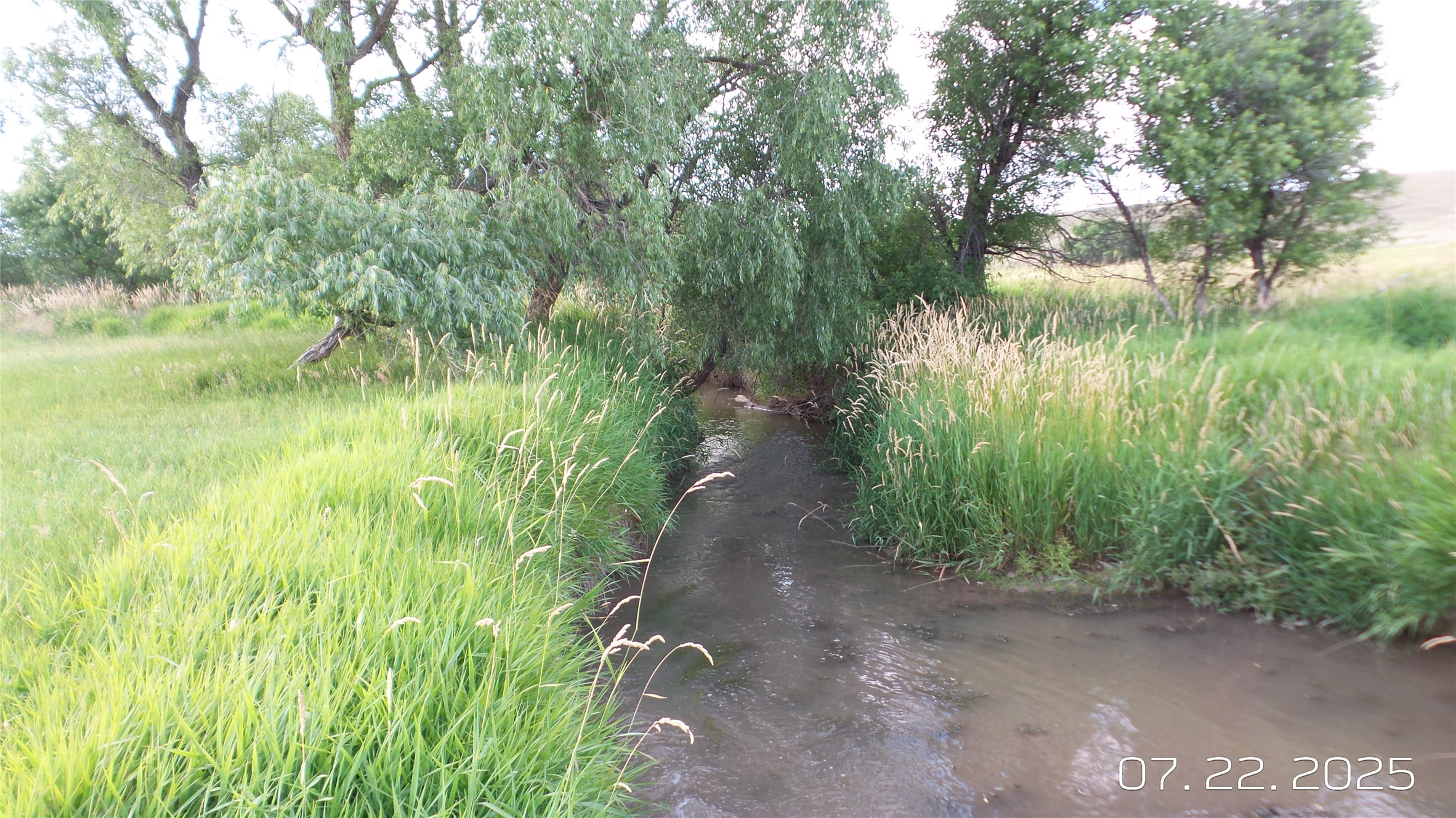 8377 Us Hwy 89 Property Photo 11