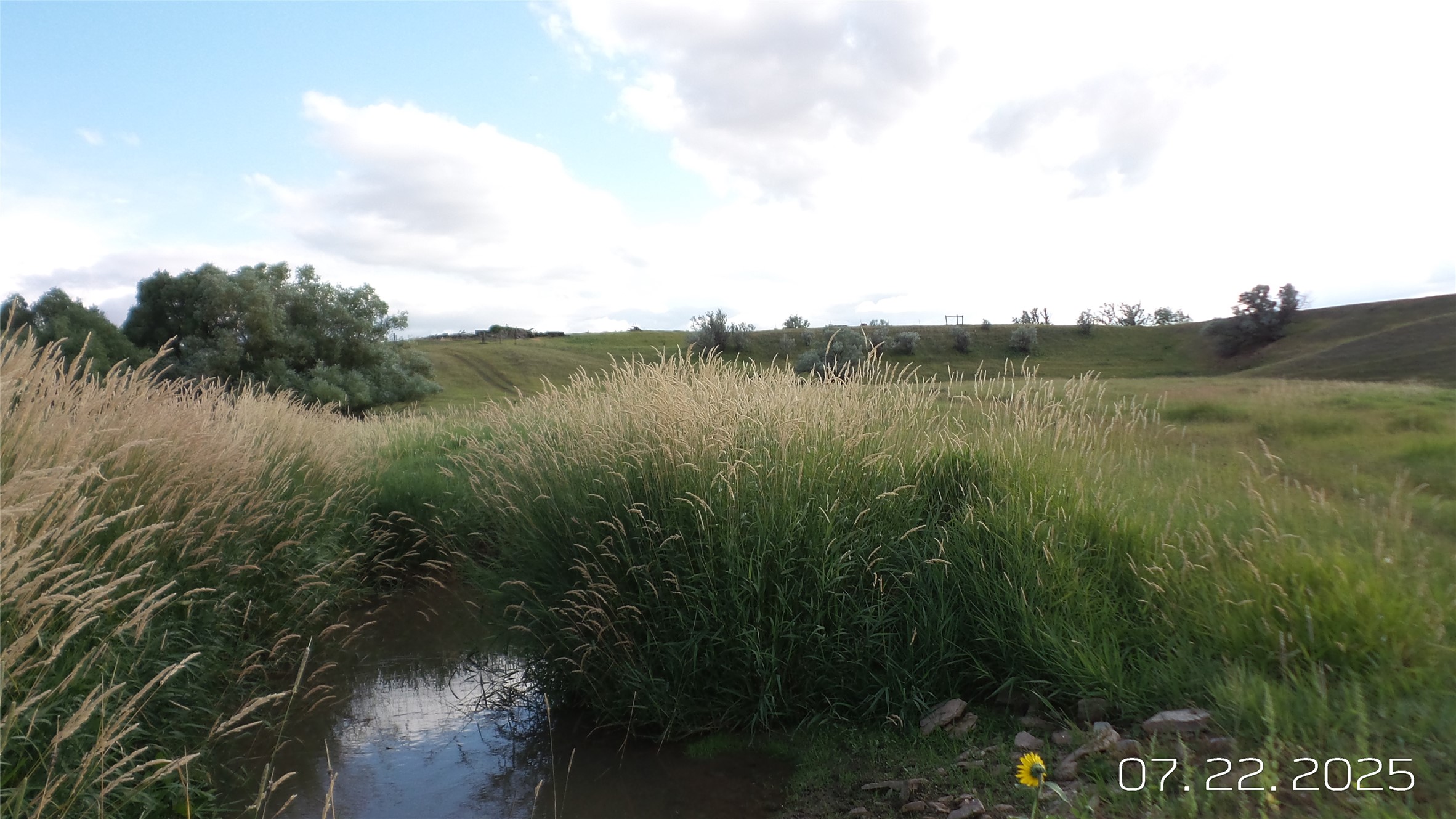 8377 Us Hwy 89 Property Photo 12