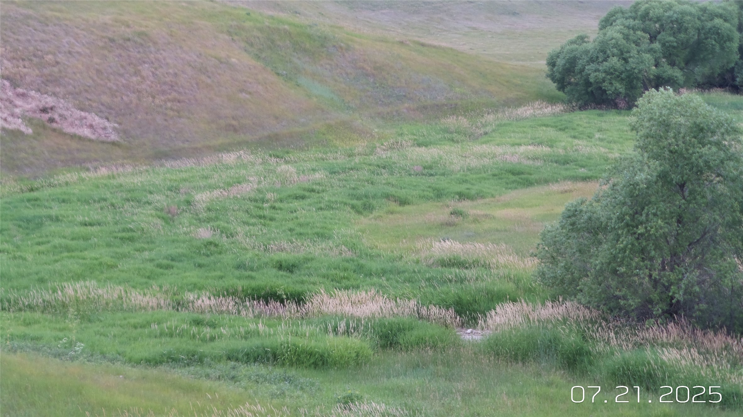 8377 Us Hwy 89 Property Photo 48