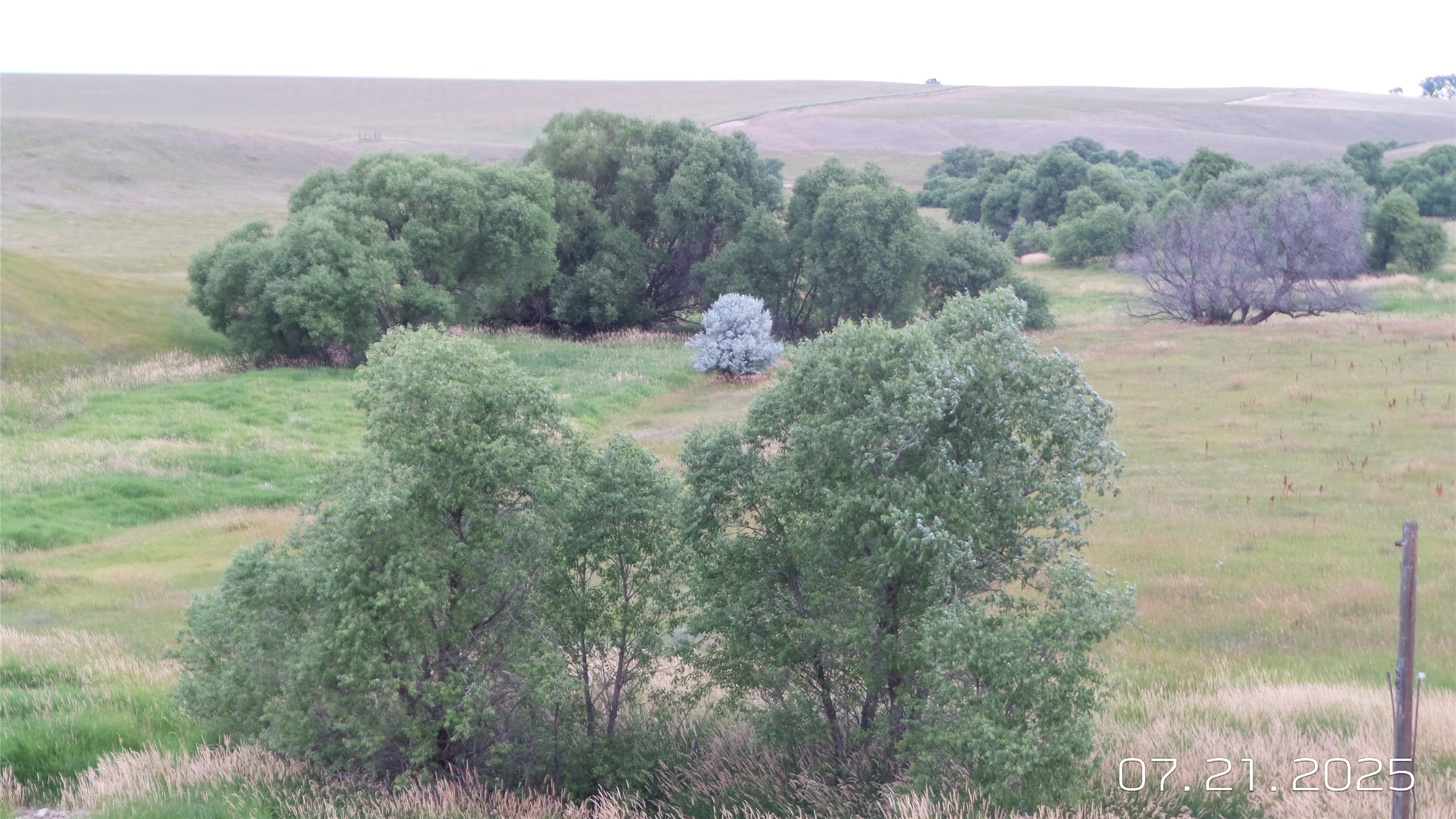 8377 Us Hwy 89 Property Photo 49