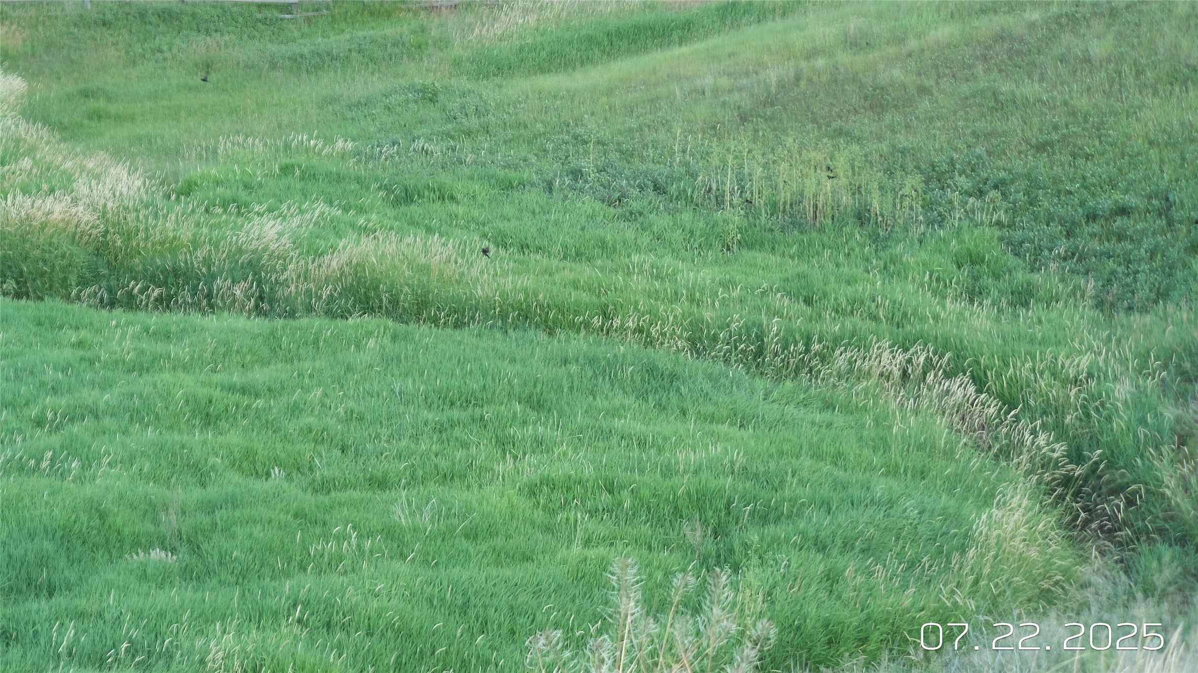 8377 Us Hwy 89 Property Photo 60