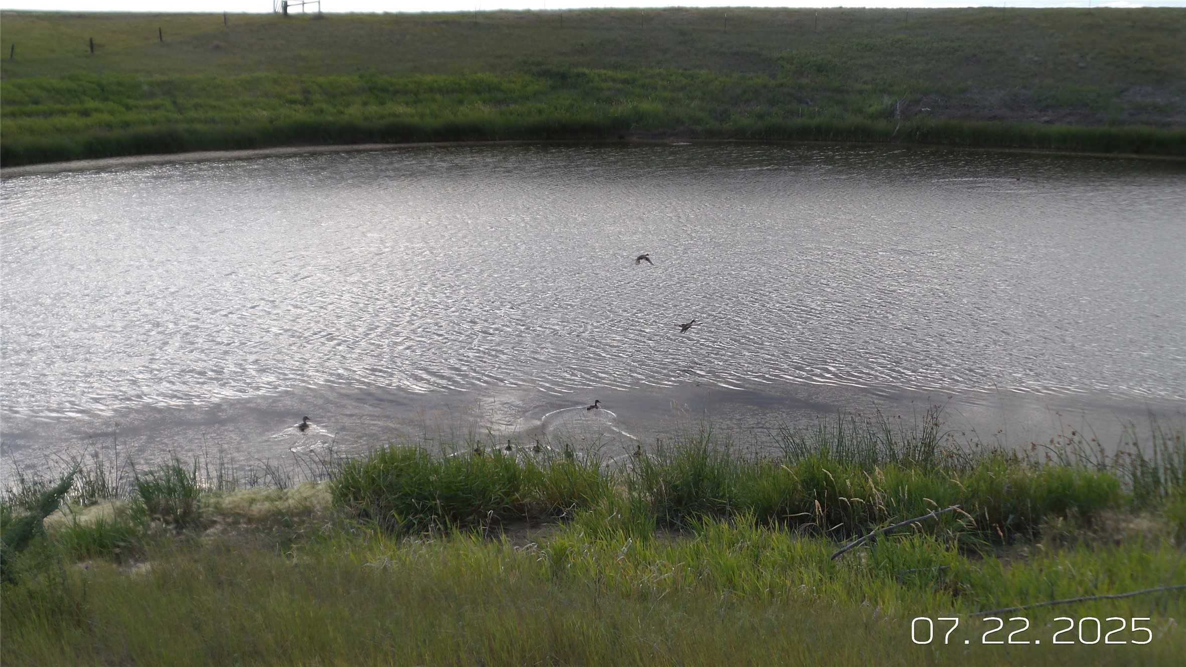 8377 Us Hwy 89 Property Photo 67