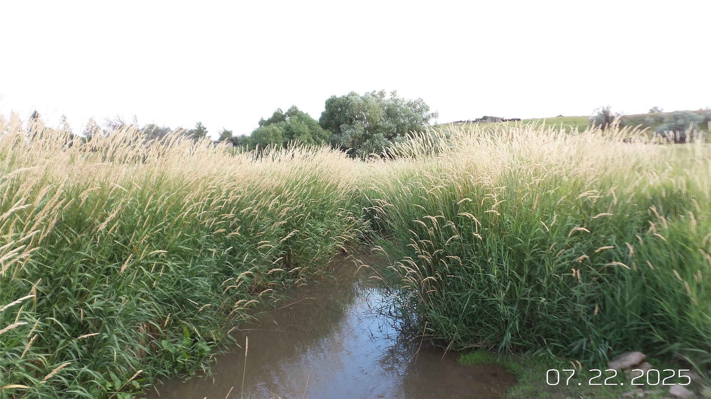 8377 Us Hwy 89 Property Photo 77