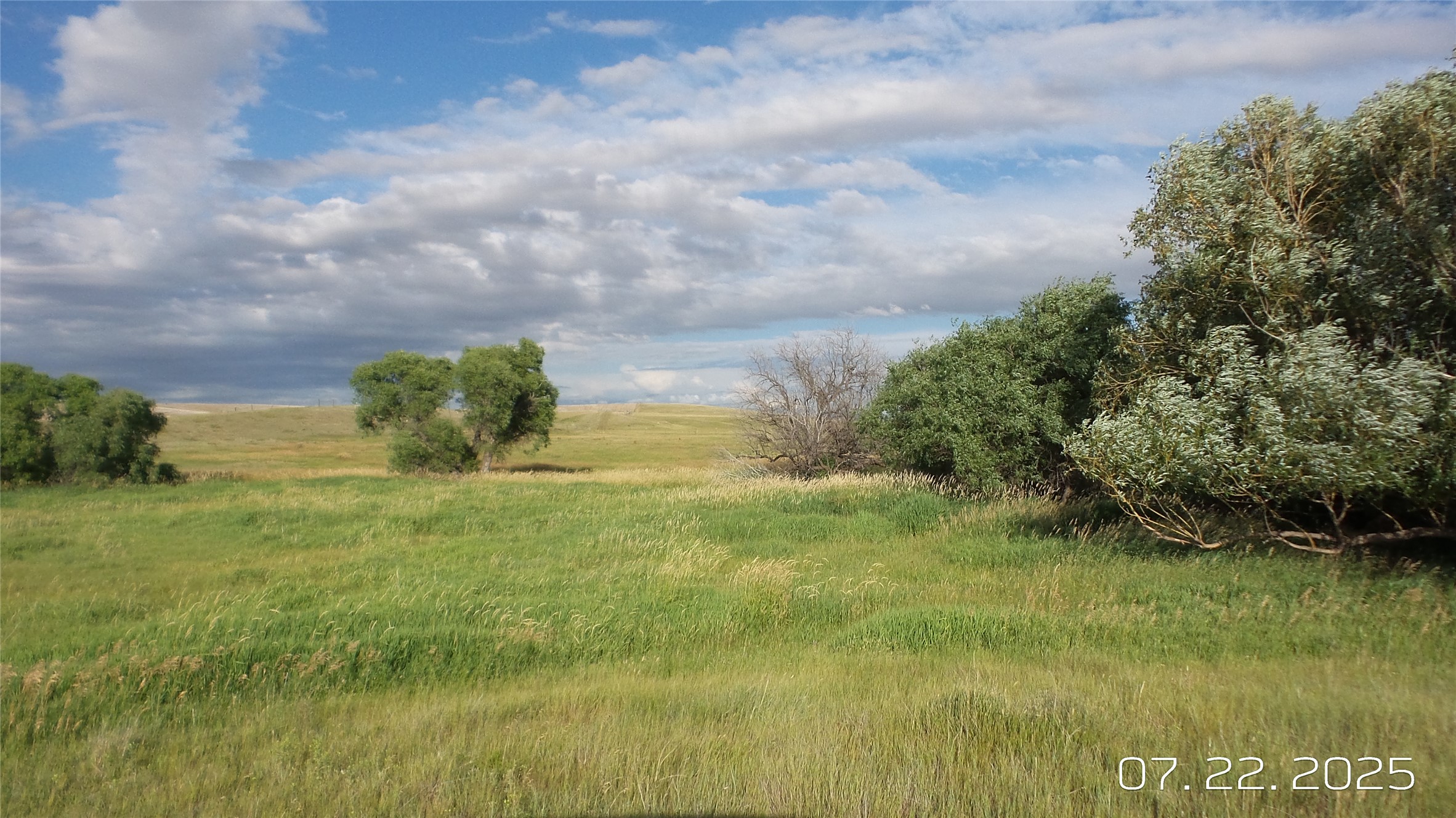 8377 Us Hwy 89 Property Photo 79