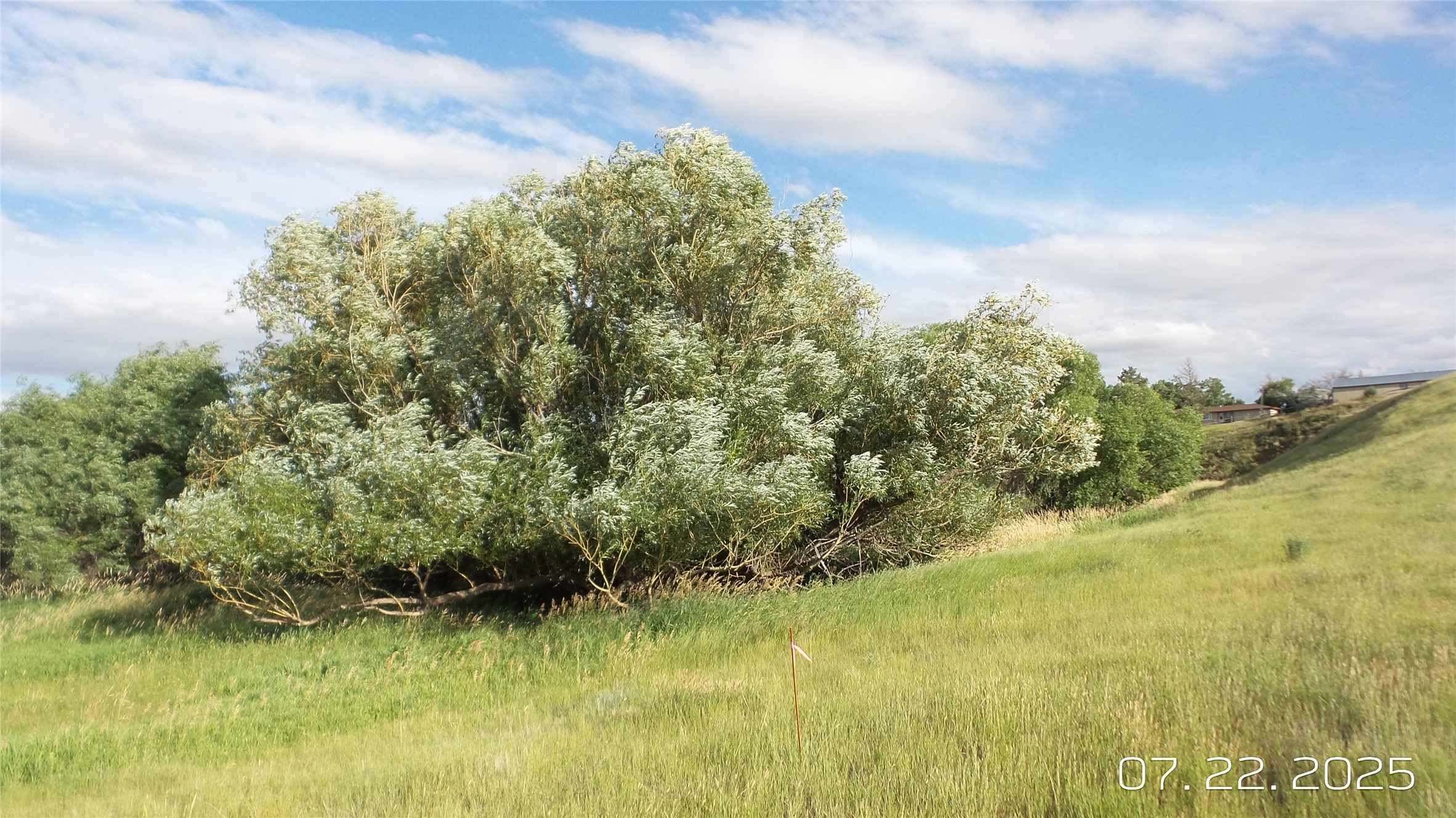 8377 Us Hwy 89 Property Photo 80