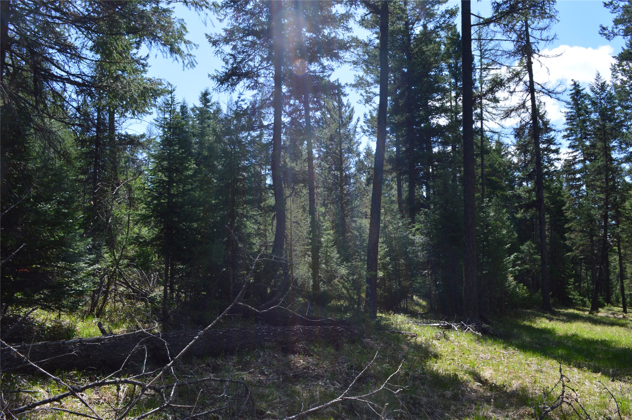 200 Whitefish Hills Drive Property Photo 8