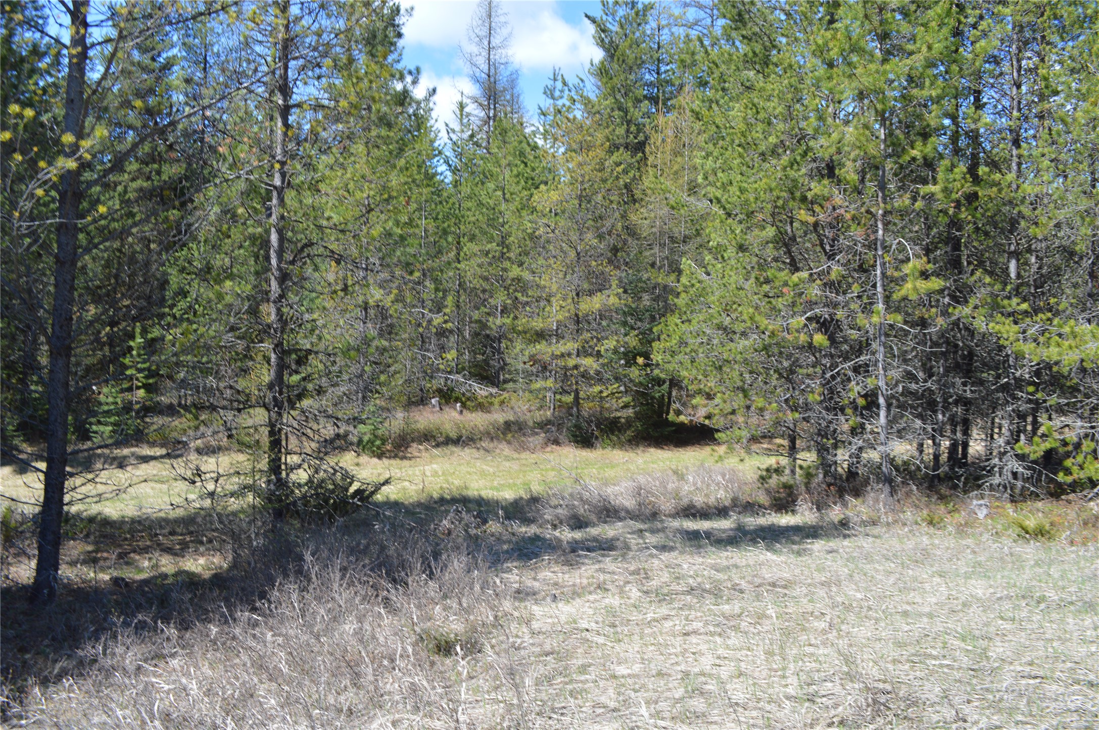 200 Whitefish Hills Drive Property Photo 12