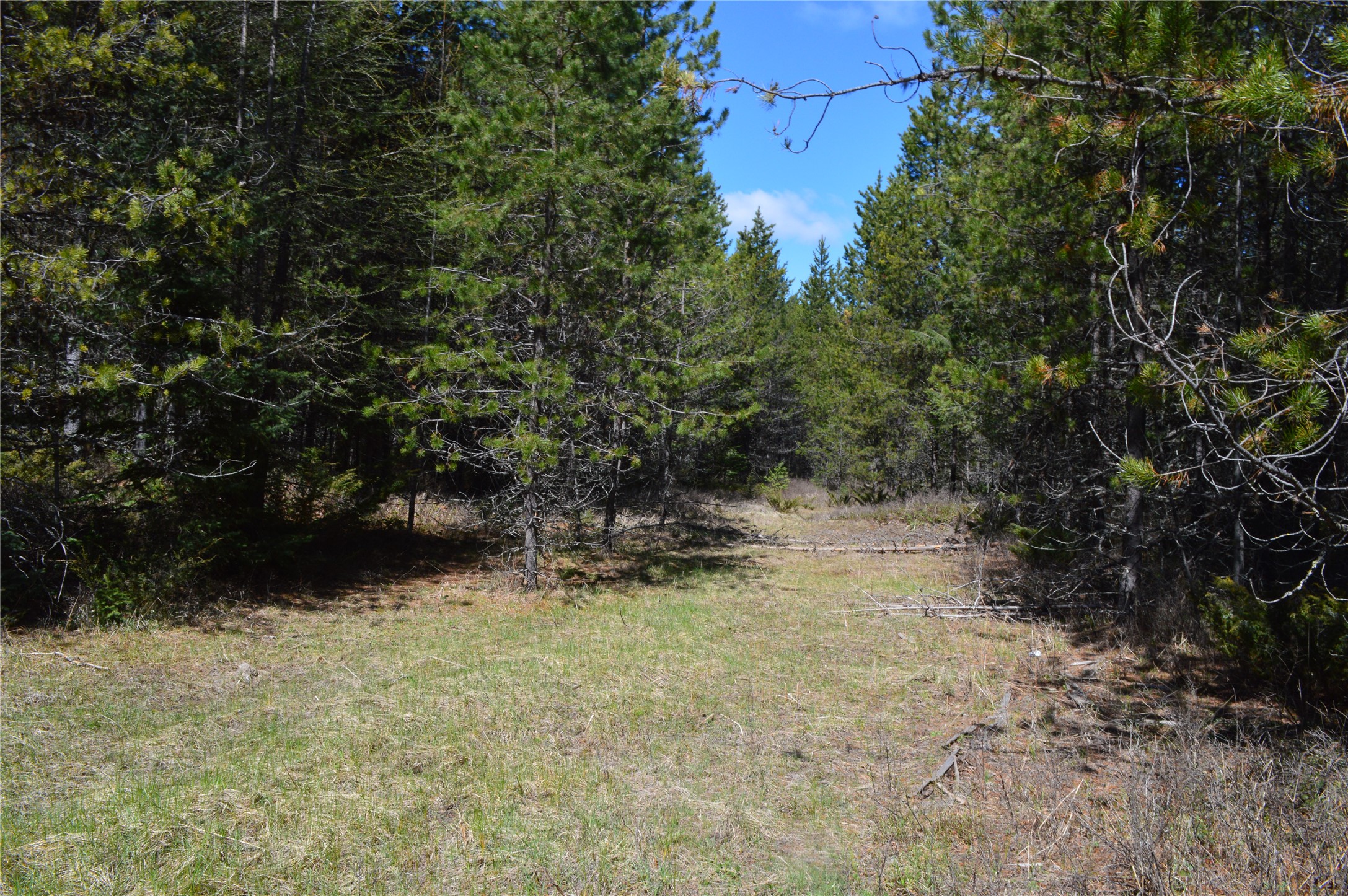 200 Whitefish Hills Drive Property Photo 13