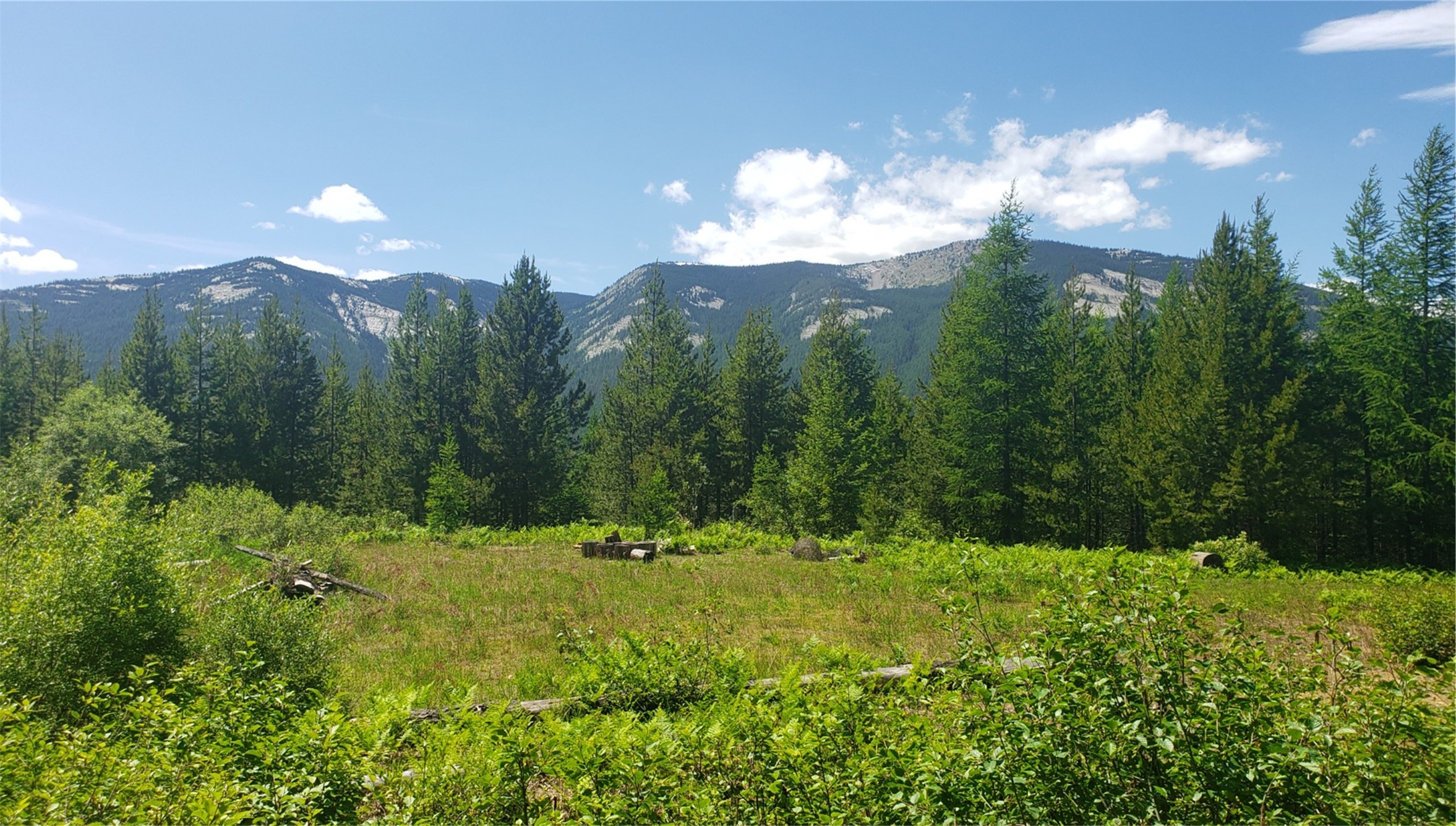 14463 Libby Creek Road Property Photo 1