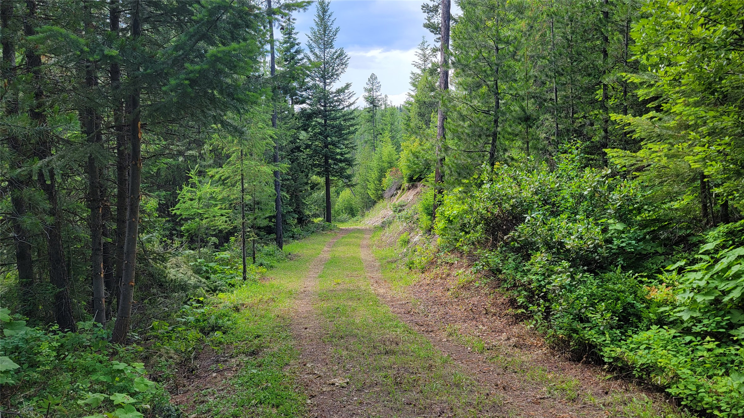 14463 Libby Creek Road Property Photo 4