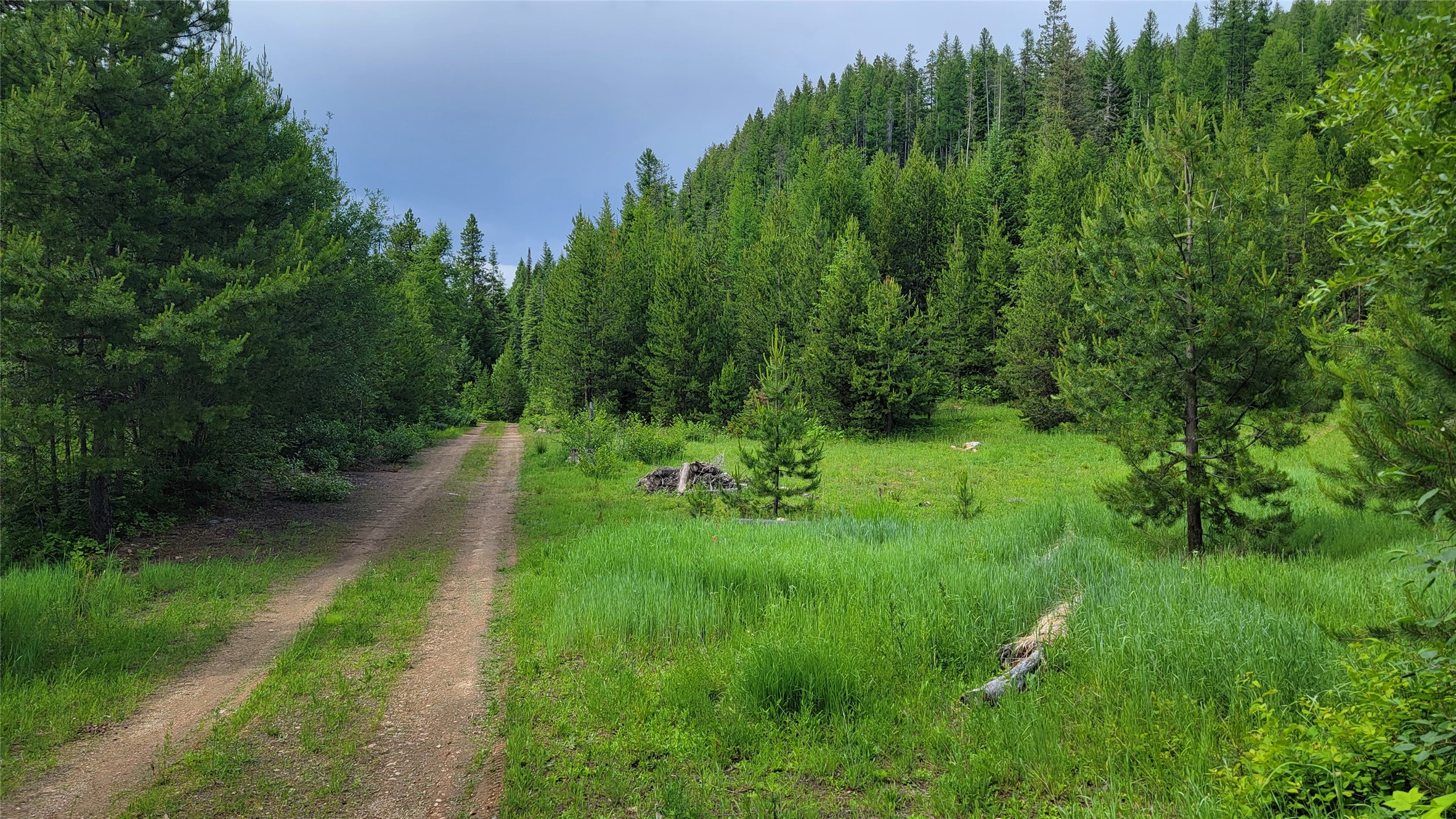 14463 Libby Creek Road Property Photo 6