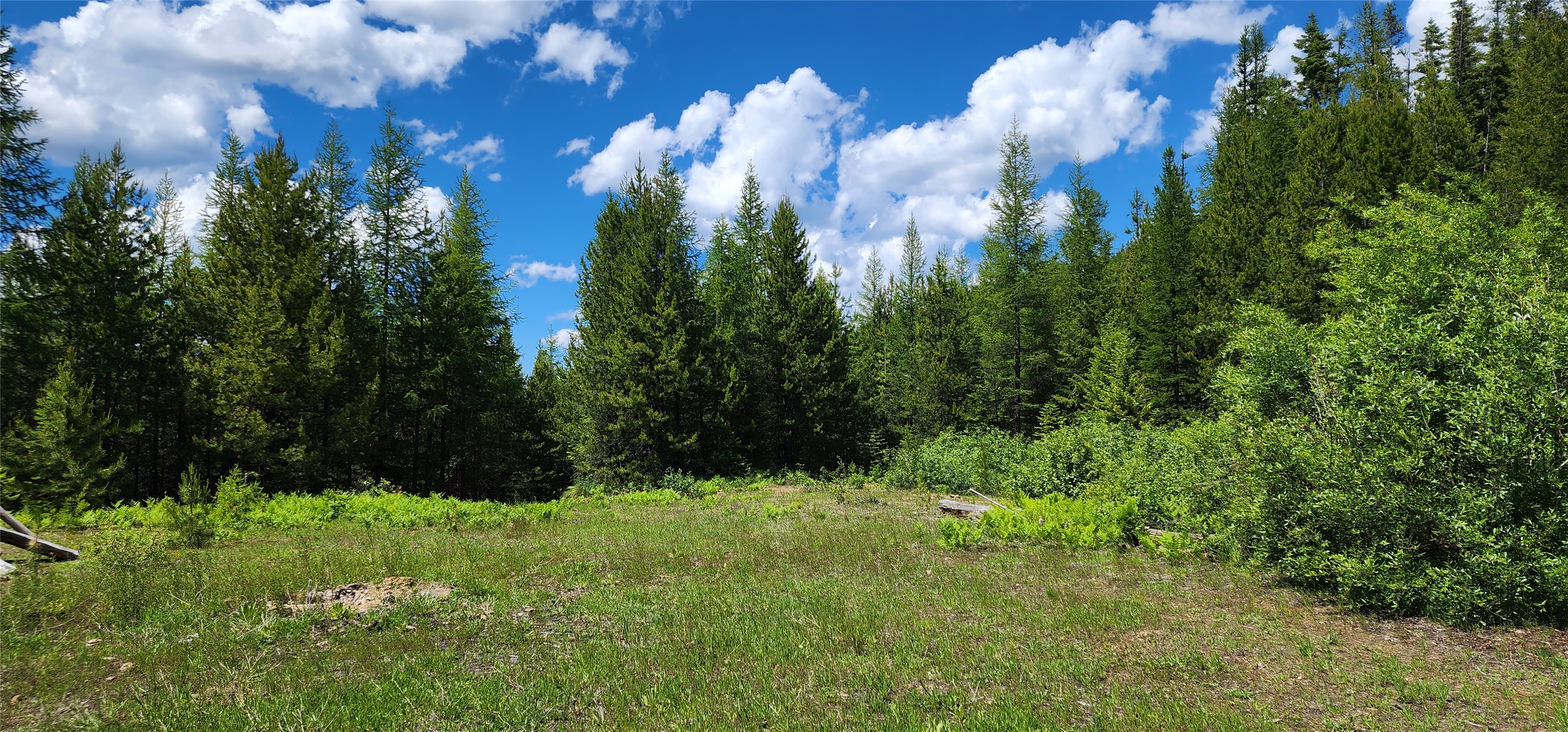 14463 Libby Creek Road Property Photo 8