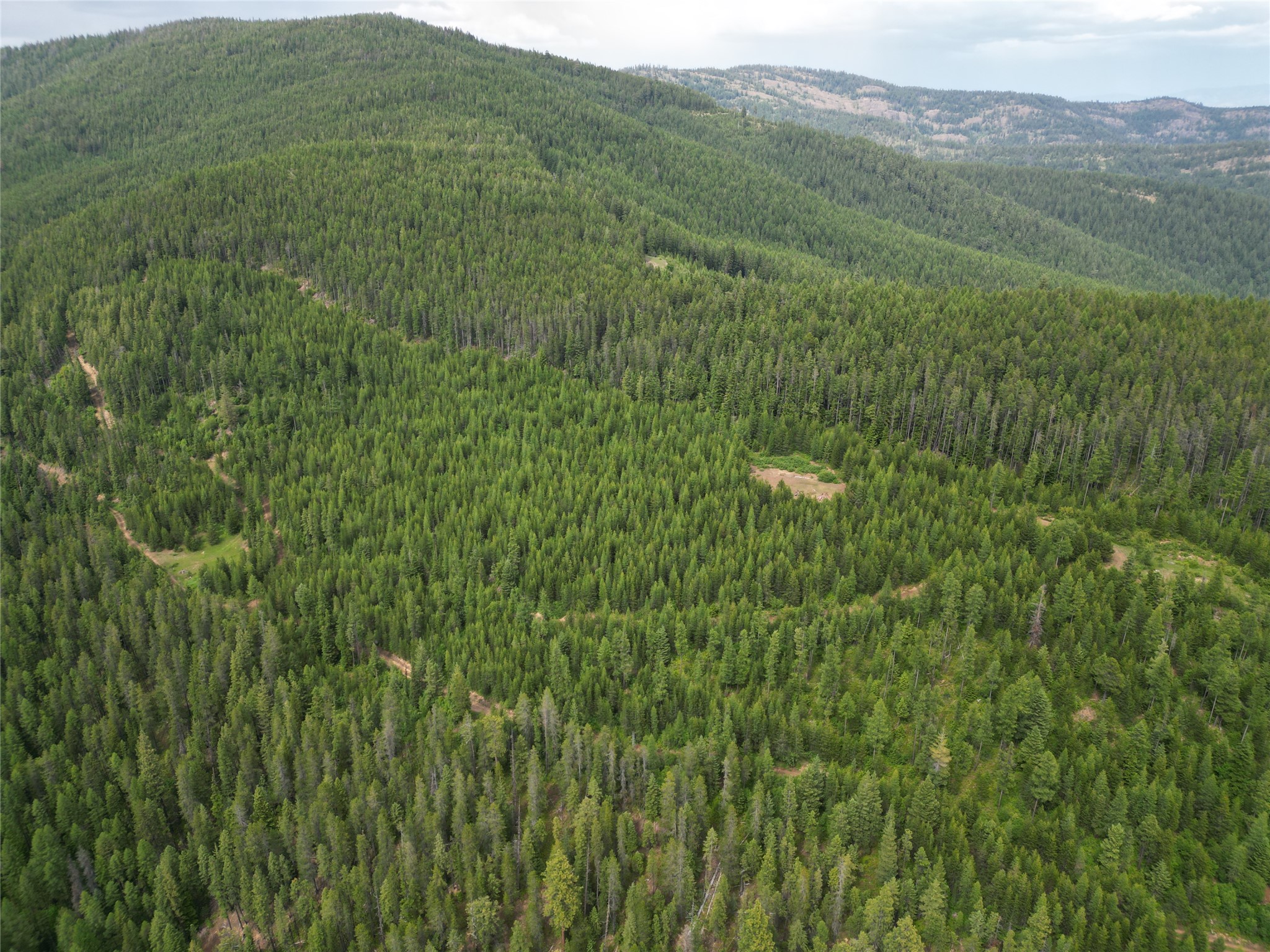 14463 Libby Creek Road Property Photo 11