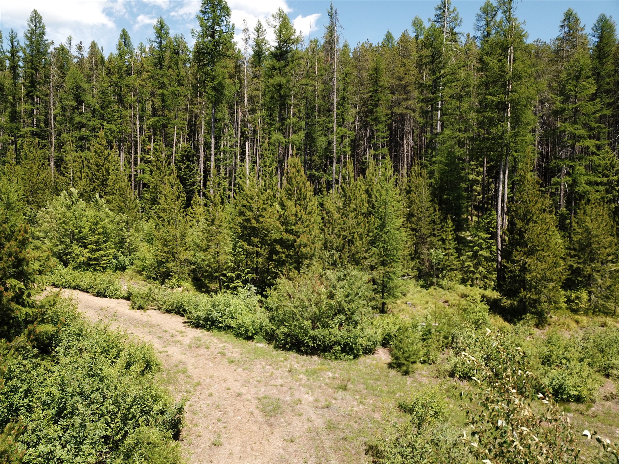 14463 Libby Creek Road Property Photo 14