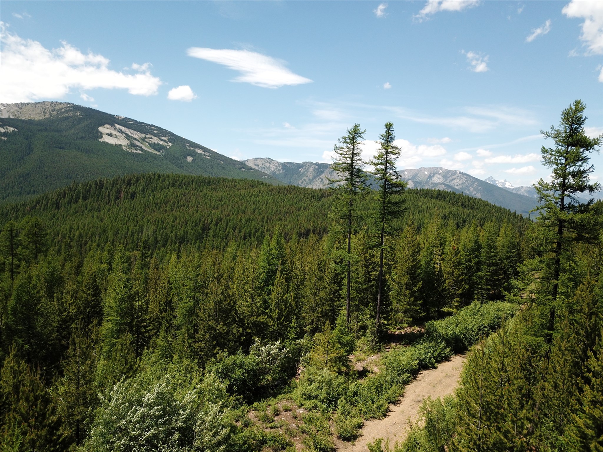 14463 Libby Creek Road Property Photo 15