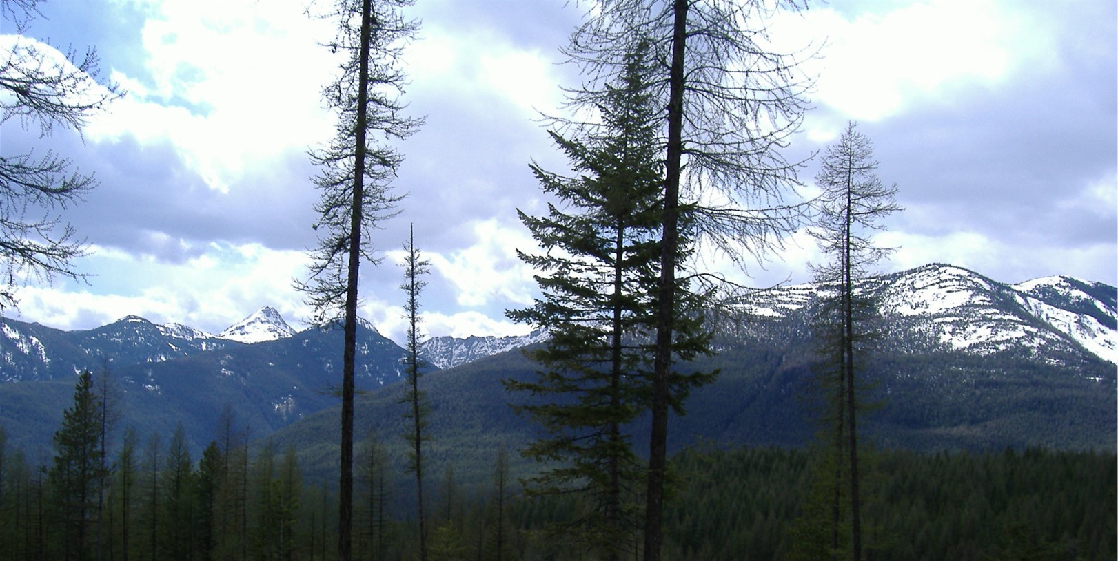 14463 Libby Creek Road Property Photo 17