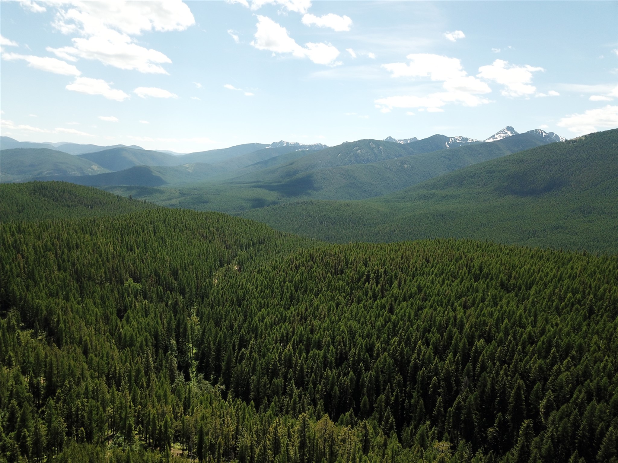 14463 Libby Creek Road Property Photo 19