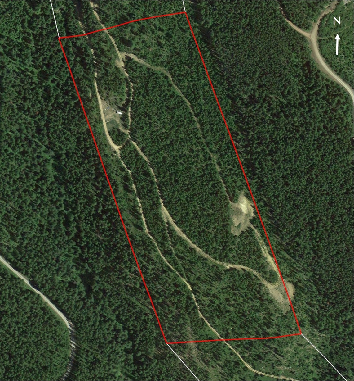 14463 Libby Creek Road Property Photo 21